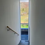 Hébergement de vacances Le Beau Petit Bosquet Hotton